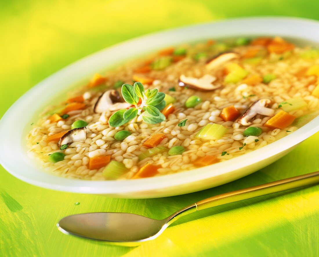 Barley soup with vegetables and mushrooms