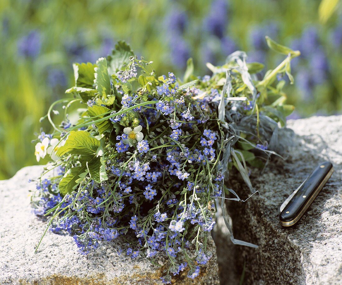 Wiesenblumestrauss auf Steinen mit Taschenmesser