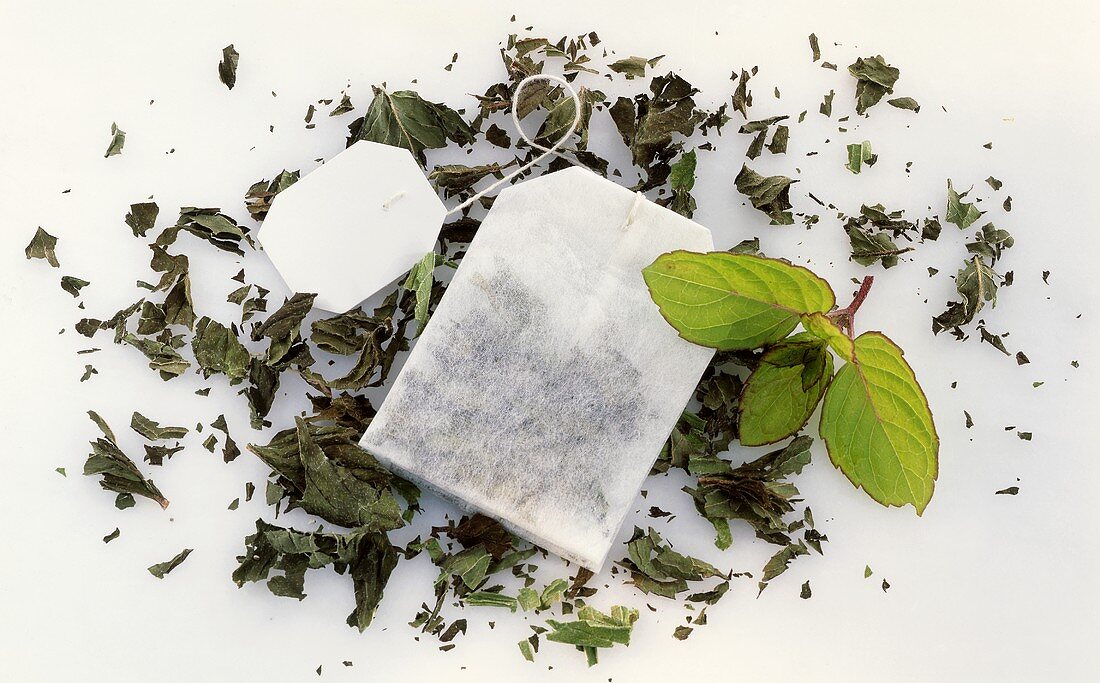 Fresh mint, dried mint leaves and tea bag