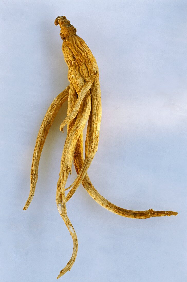 A dried ginseng root
