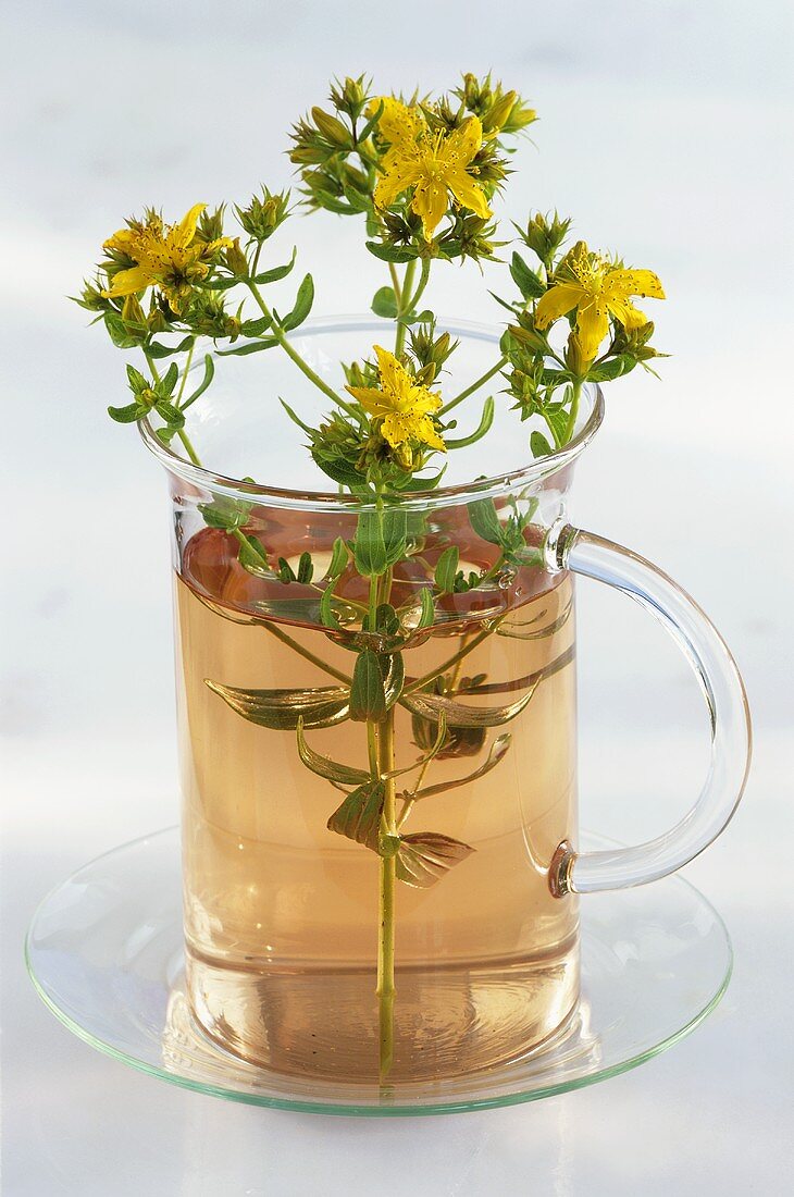 St. John's wort tea in glass cup with sprig of St. John's wort