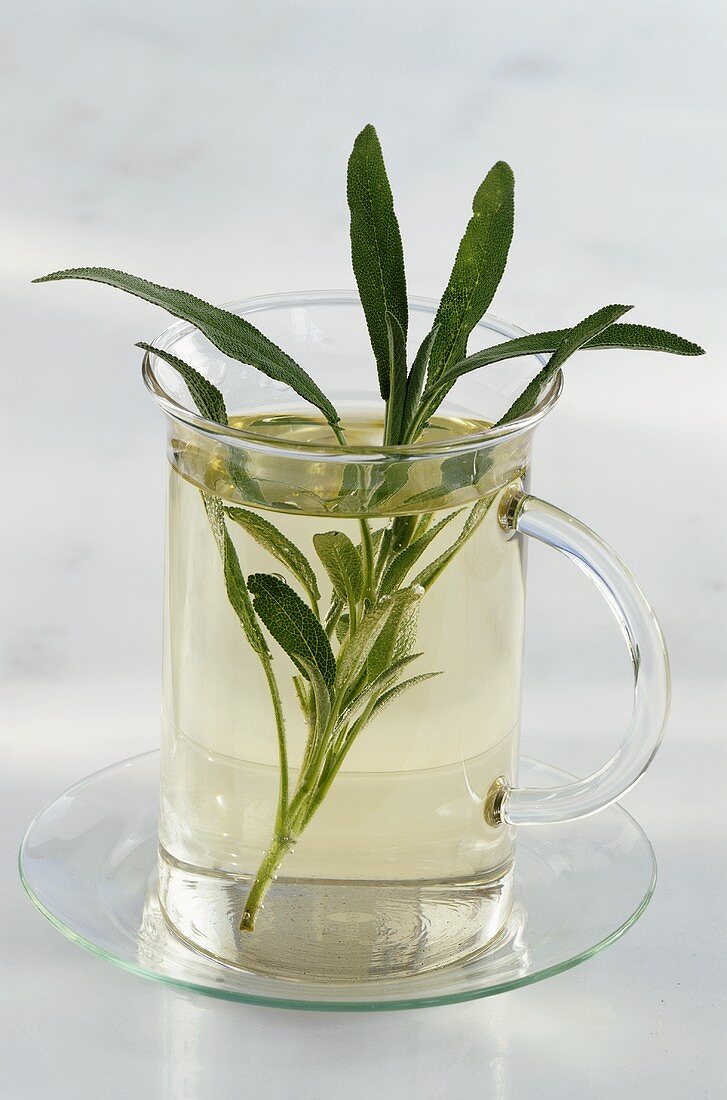 Sage tea in glass with sprig of fresh sage