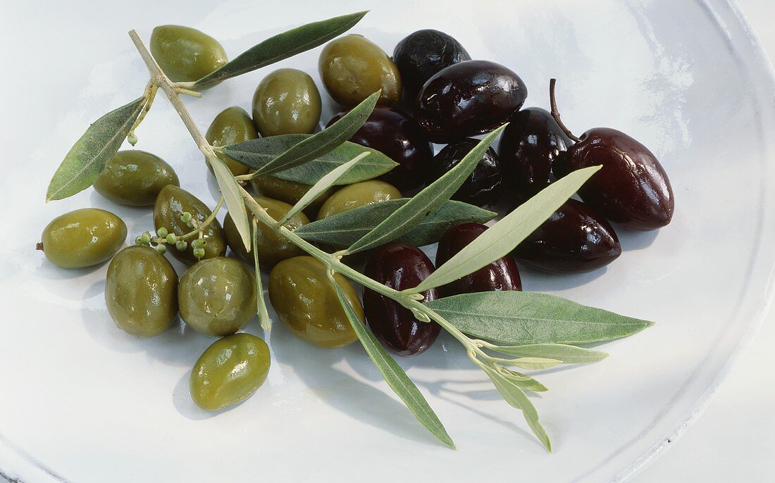 Grüne und schwarze Oliven auf einem Teller mit Olivenzweig