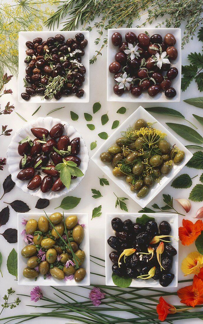 Various types of olives in dishes and fresh herbs