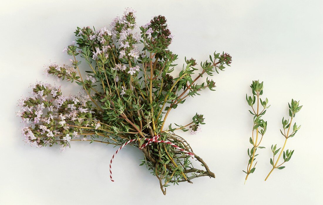 A bunch of flowering thyme