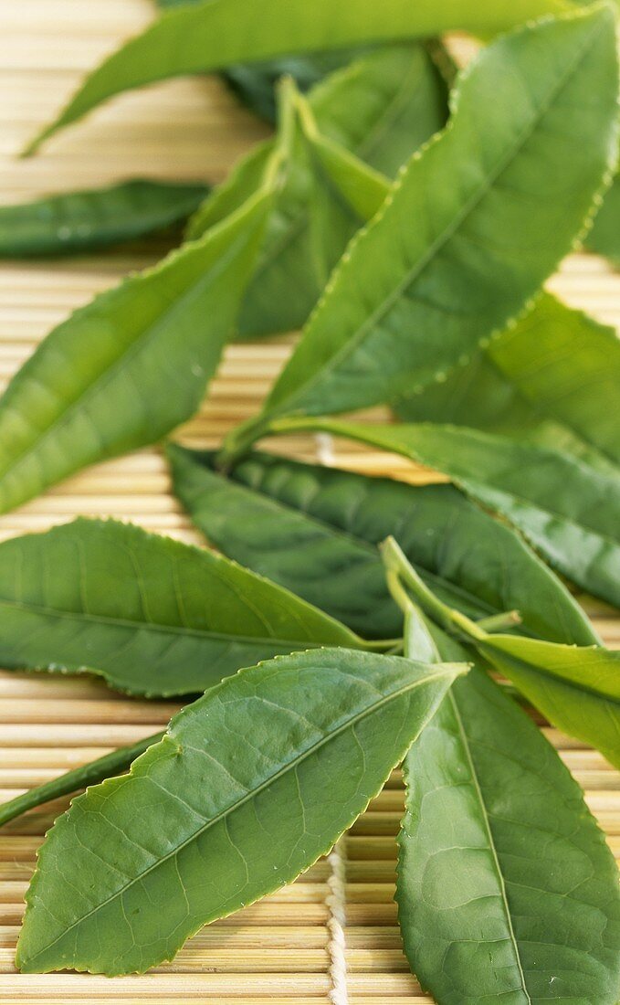 Teeblätter (Camelia Sinensis) auf Strohmatte