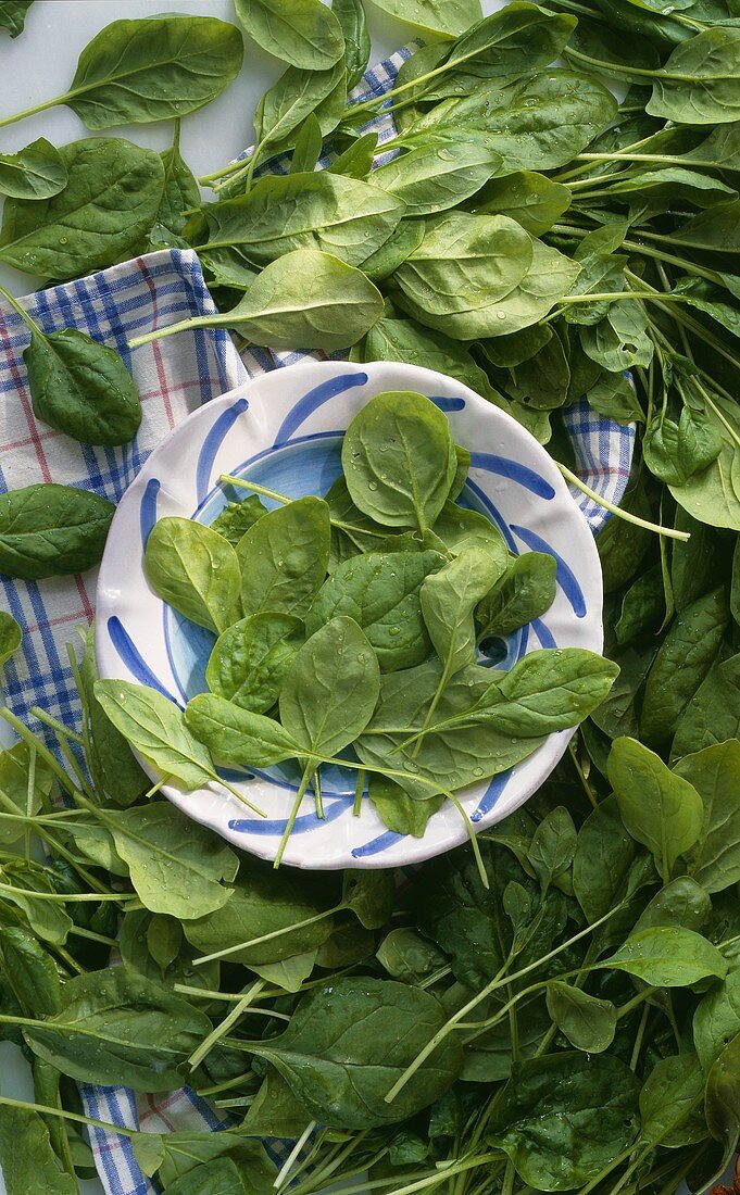 Fresh spinach leaves on and around a plate