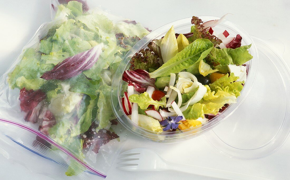 Gemischter Salat in Frischhaltebeutel und Plasitkbox