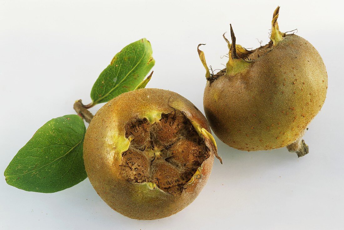 Two medlars