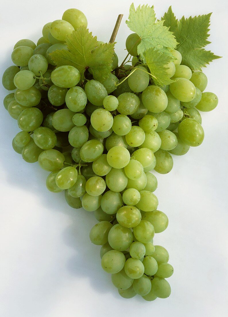 Green grapes