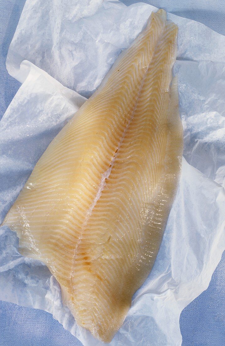 Halibut fillet on paper