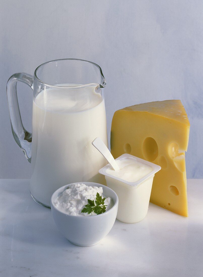 Milchprodukte: Milch, Käse, Joghurt, Quark