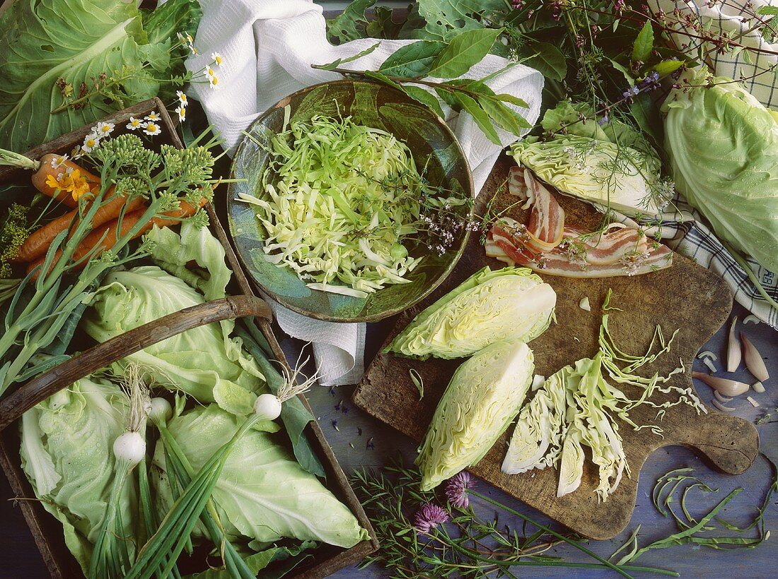 Pointed cabbage, vegetables and bacon