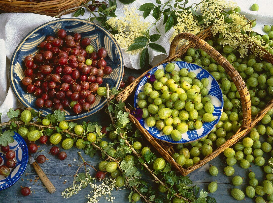Still life with green and red gooseberries