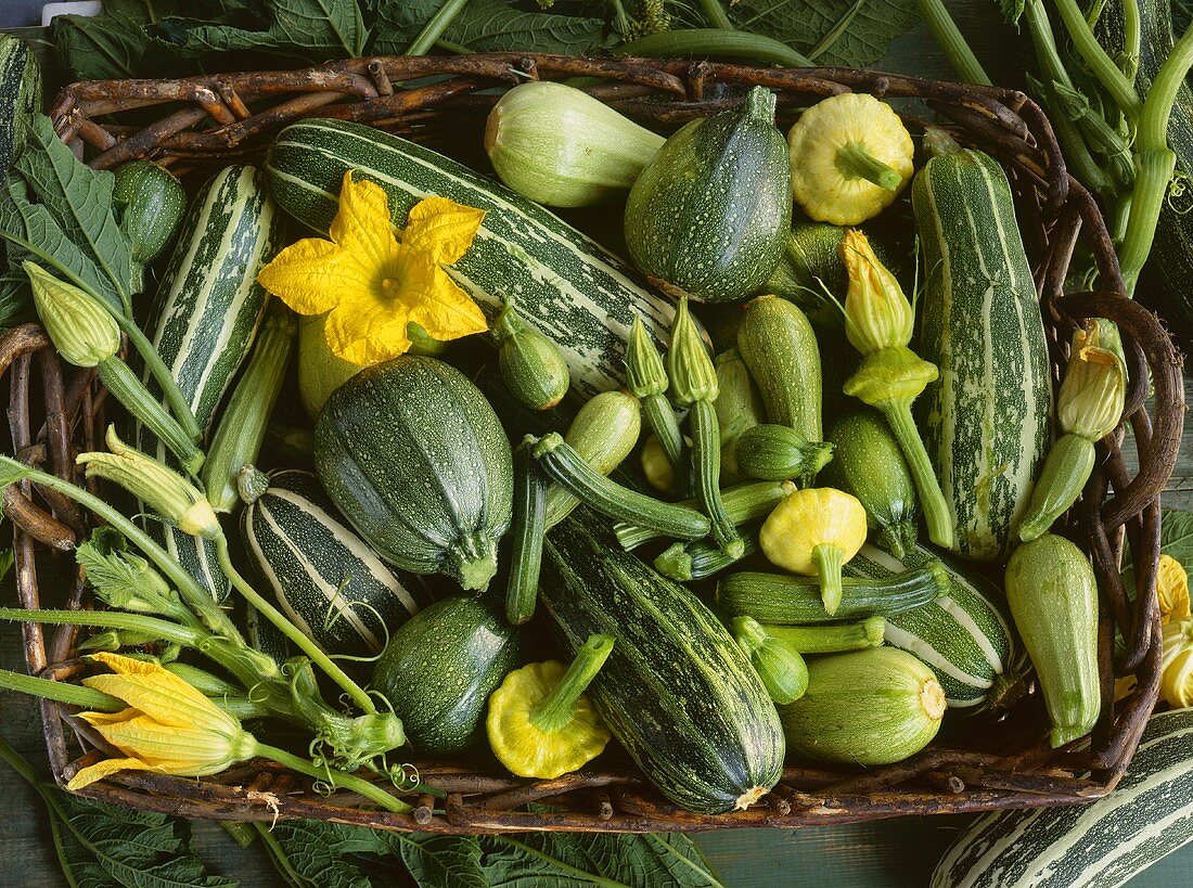 Courgettes, squashes and marrows with flowers in a basket
