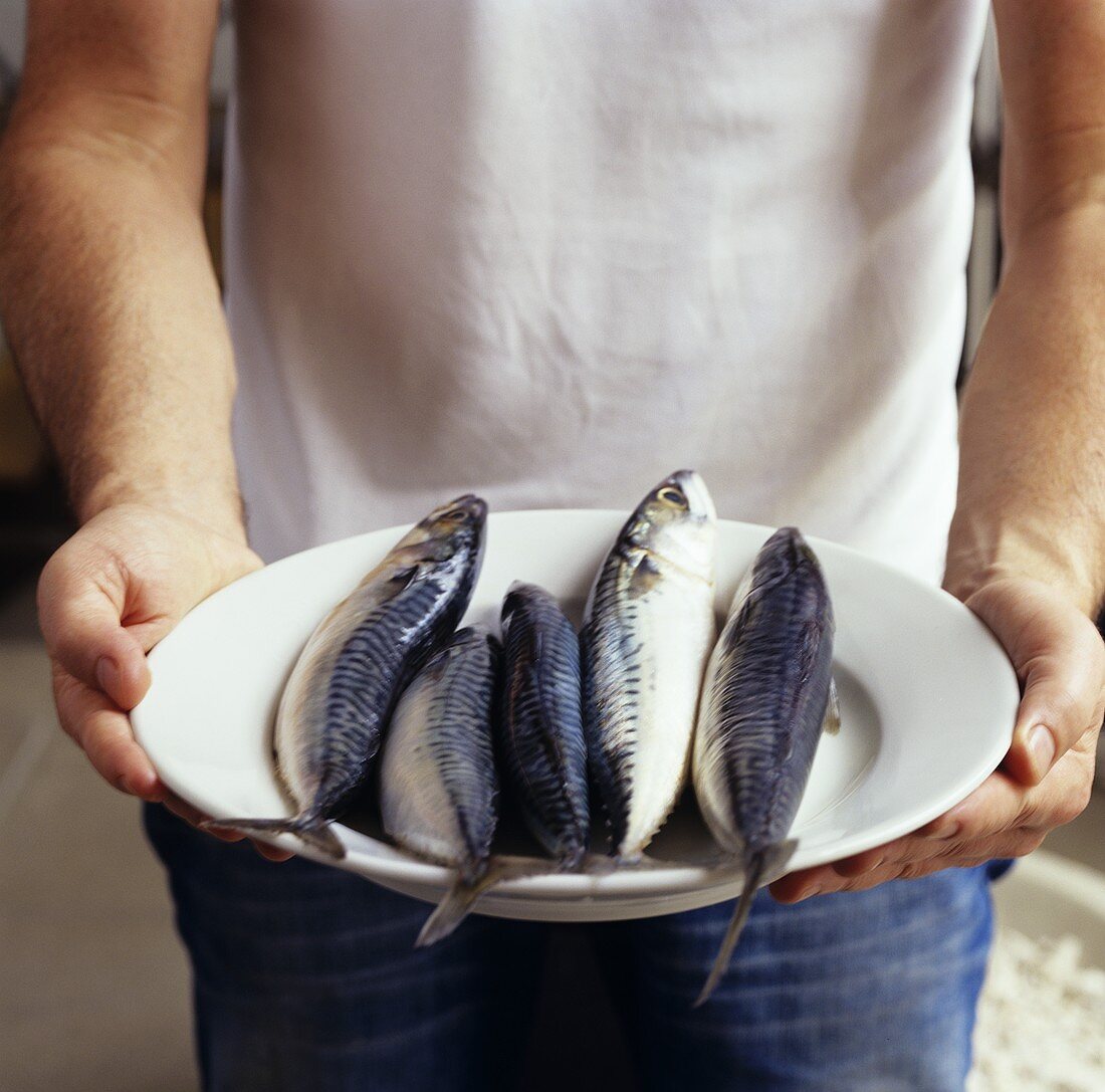 Man holding plate of fresh mackerel