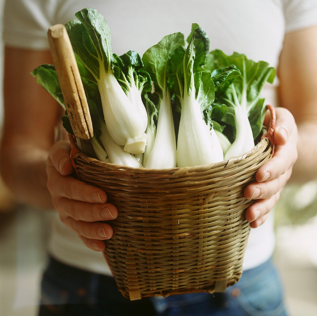 Man holding basket of pak choi with a knife