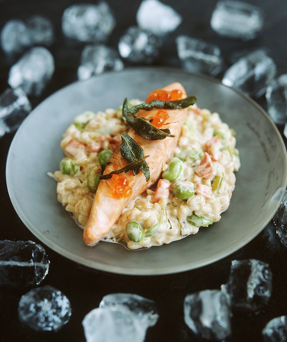 Lachs auf Gemüserisotto