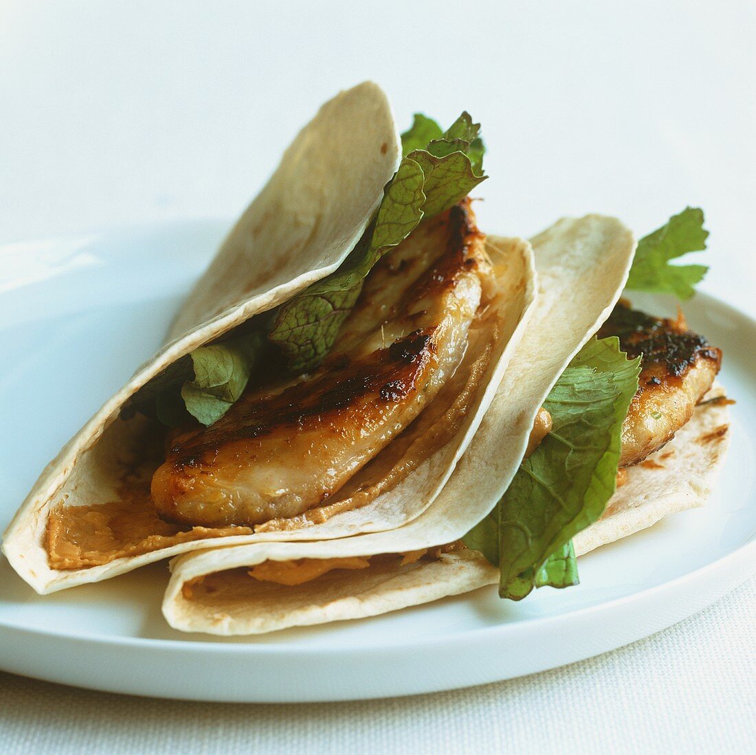 Tortillas filled with chicken breast and cheese