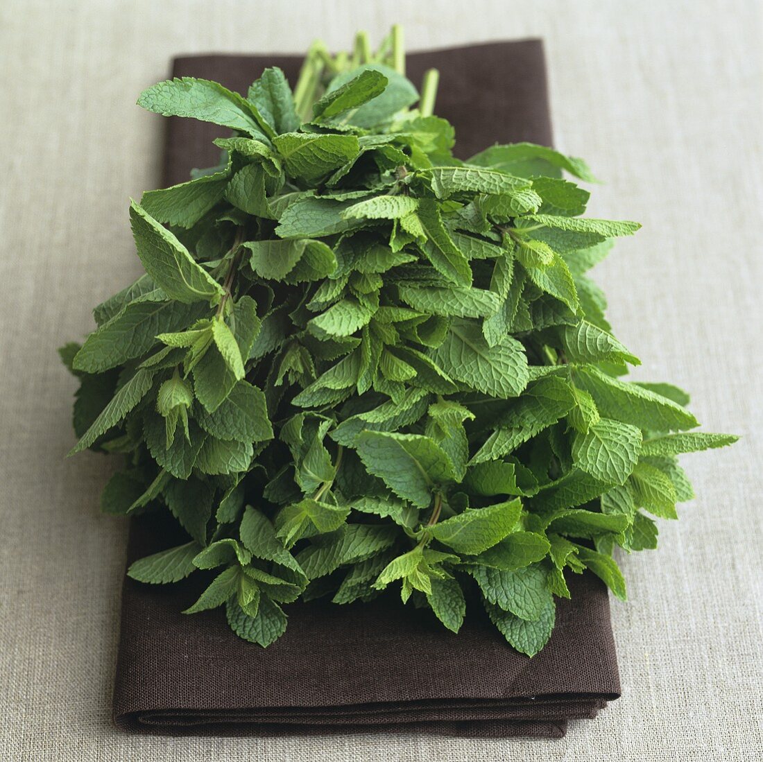 A bunch of fresh mint on a brown cloth
