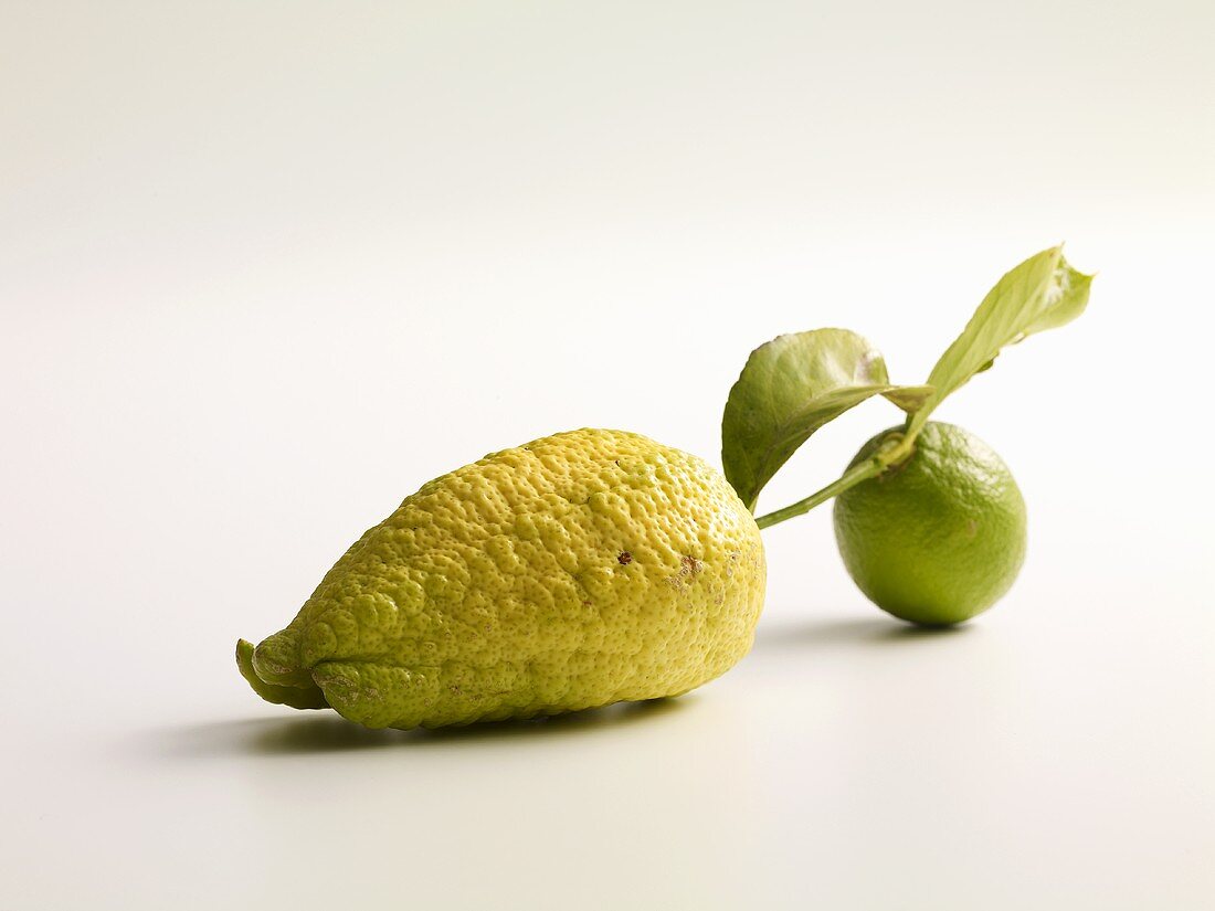 Zitronen mit Stiel und Blatt