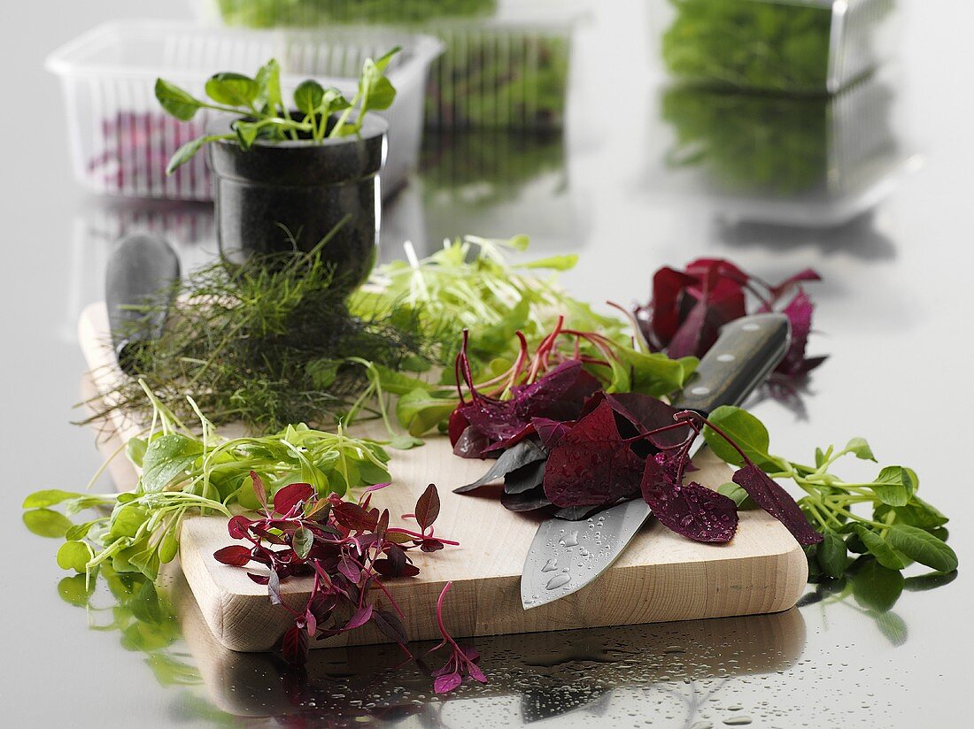 Various types of fresh herbs on a chopping board with a knife