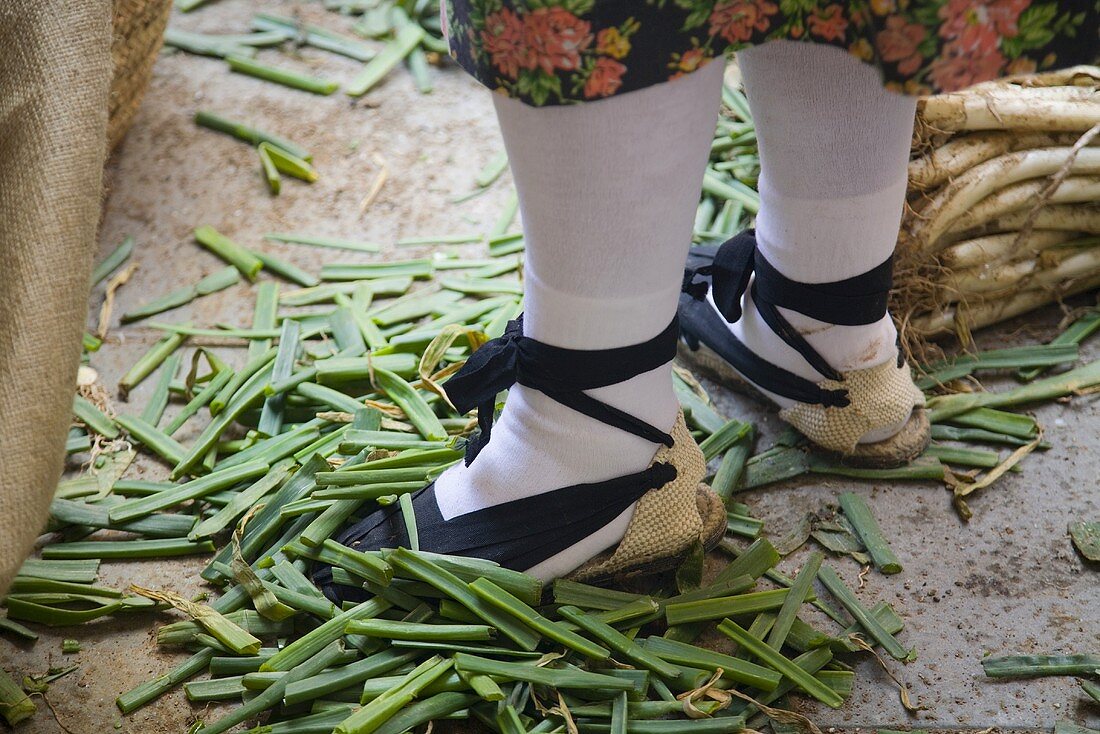 A woman in a traditional costume standing in calcot leaves