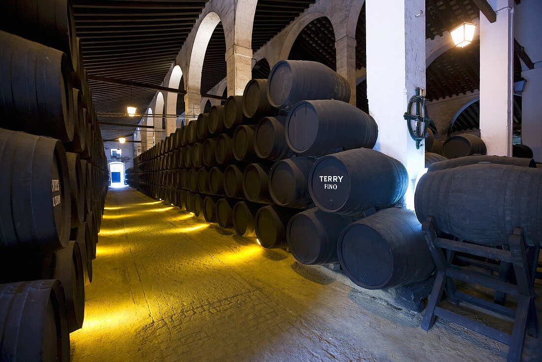 The wine cellar at Bodega Terry in Jerez de la Frontera, Spain