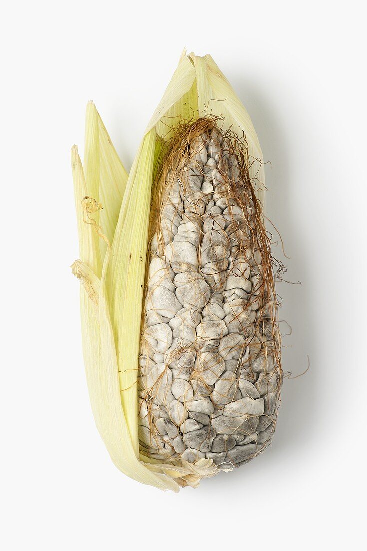 Cuitlacoche (smut infected corn cob, Mexico)