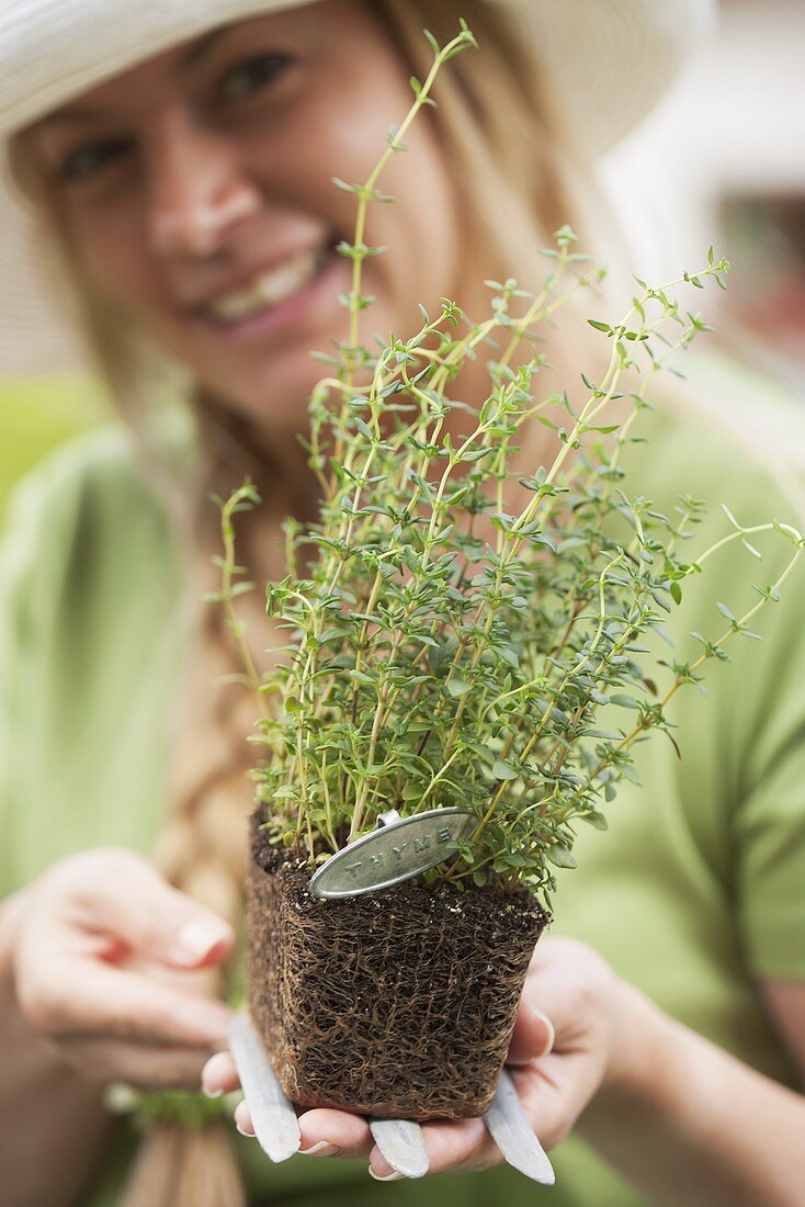 A woman holding a thyme plant