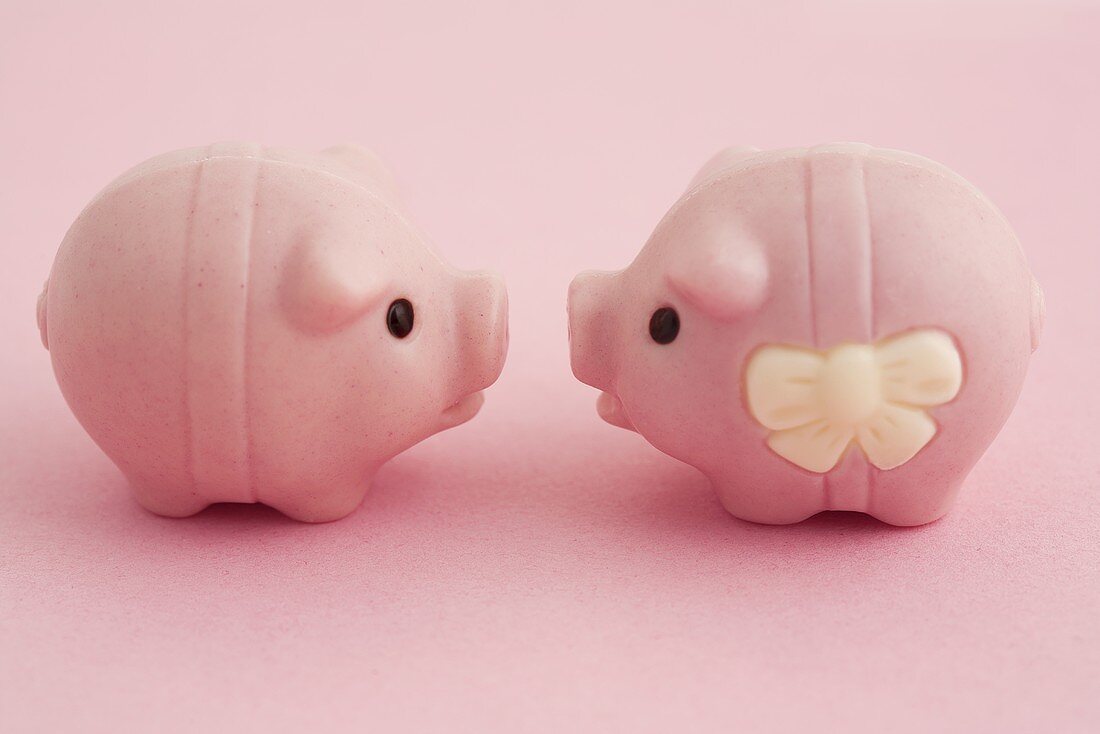 Zwei rosa Glücksschweine schauen sich an