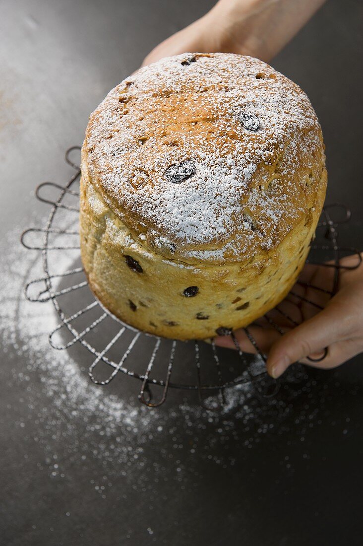 Panettone (traditional yeast cake), Lombardy, Italy