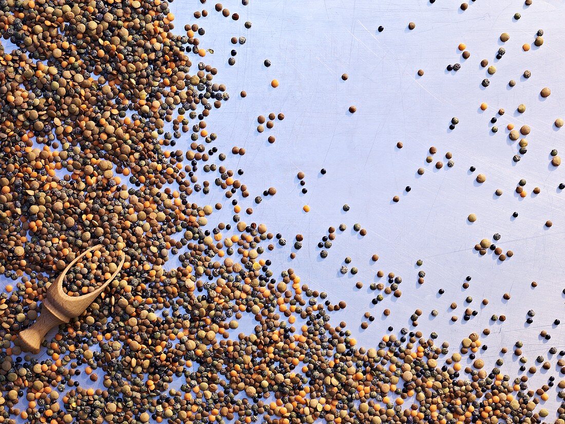 Various scattered lentils with a scoop