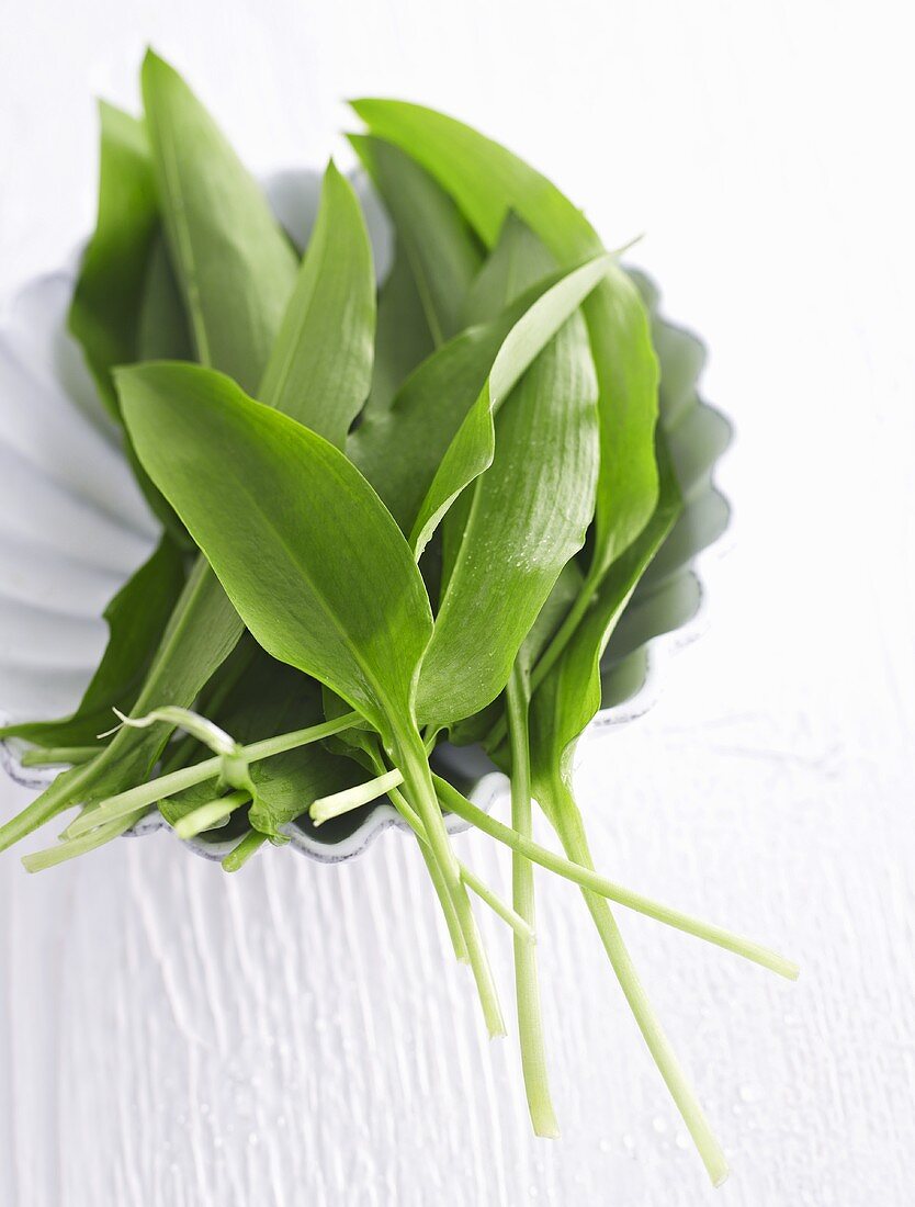 A bowl of fresh ramsons