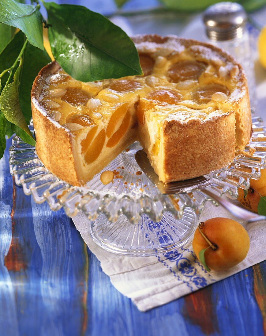 Apricot and almond buttermilk cake