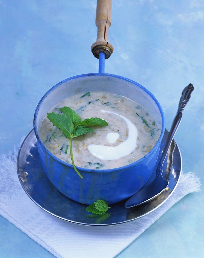 Minted yoghurt soup