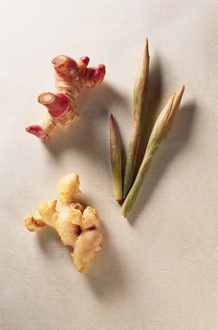 Ginger flower, young ginger and galangal