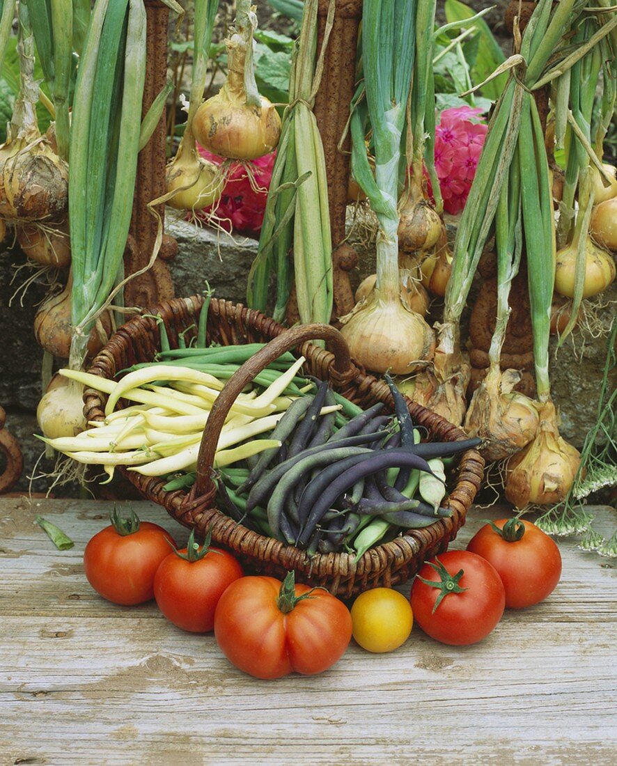 Autumnal vegetable still life with beans, onions & tomatoes