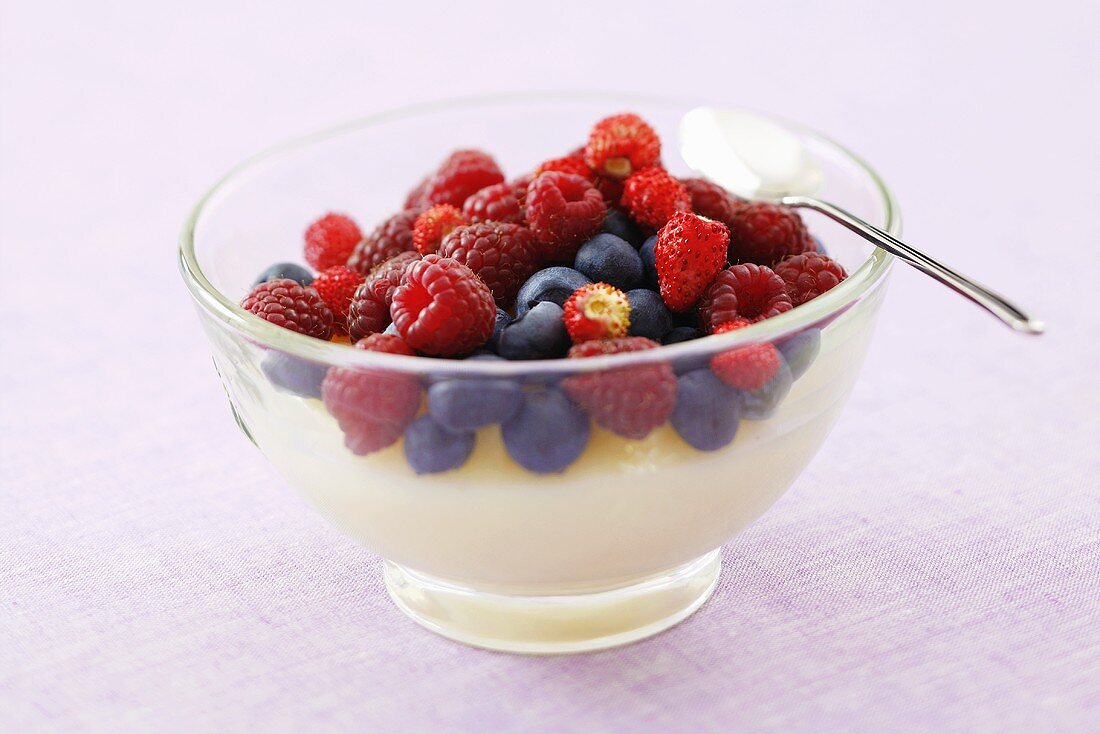 Vanilla blancmange with fresh berries