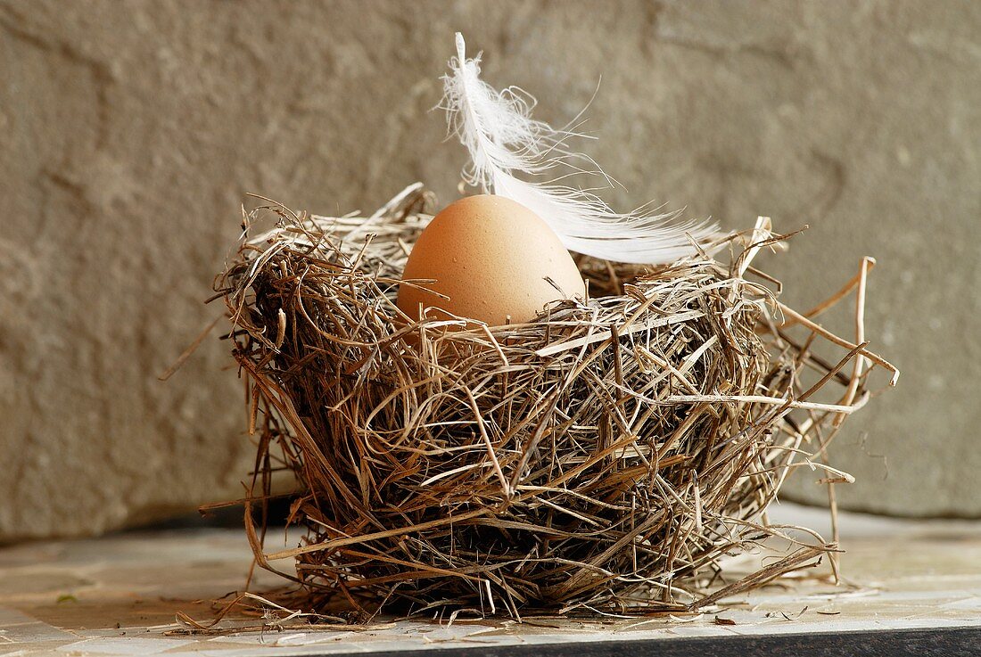 A boiled egg in a nest