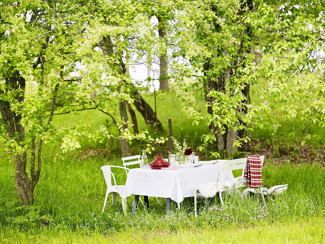 Laid table in garden