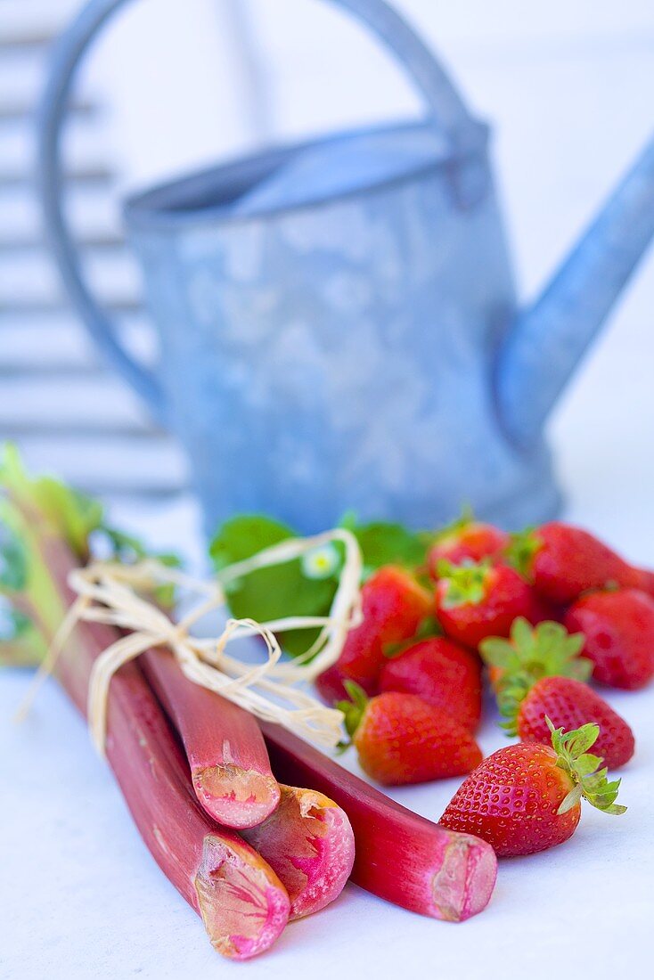 Rhubarb and strawberries, watering can in background