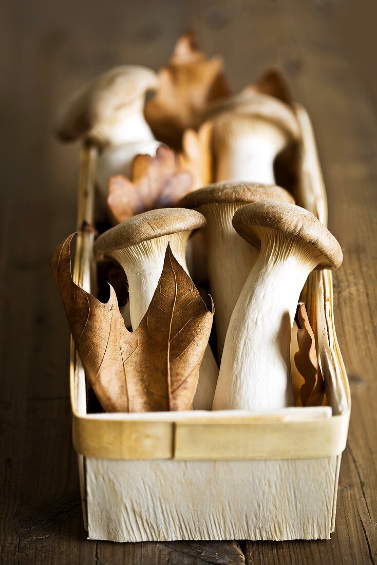 Fresh king oyster mushrooms & autumn leaves in woodchip basket