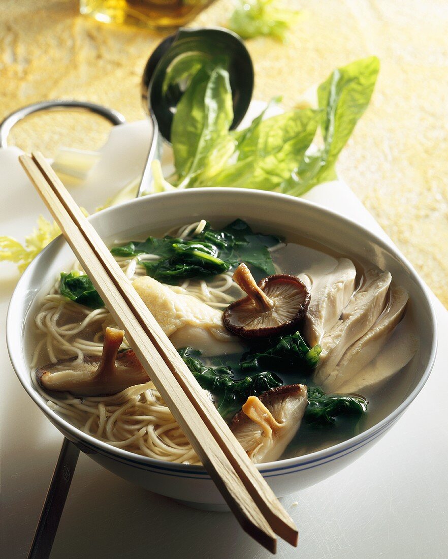 Chicken soup with noodles, mushrooms and spinach