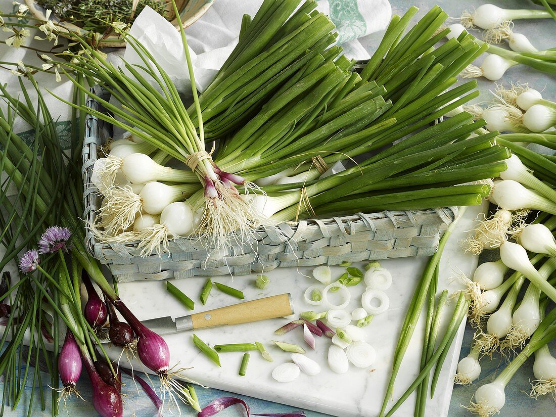 Still life with white and red spring onions