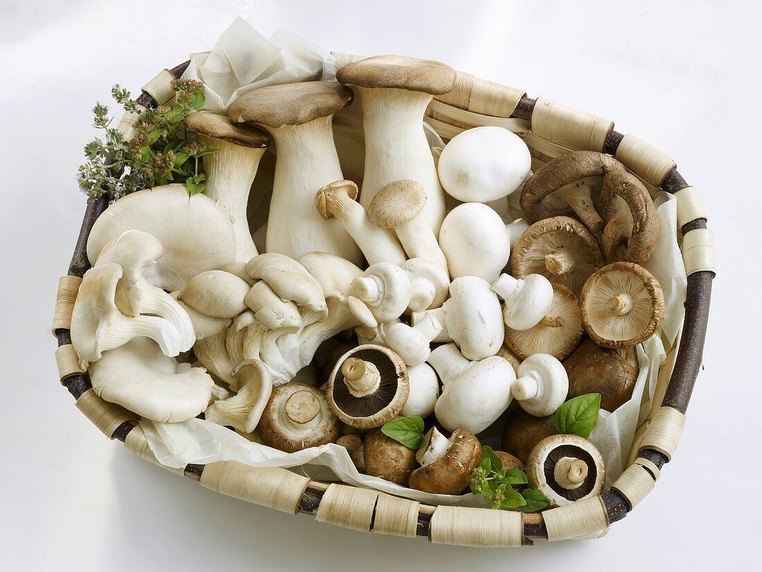 Basket of assorted cultivated mushrooms