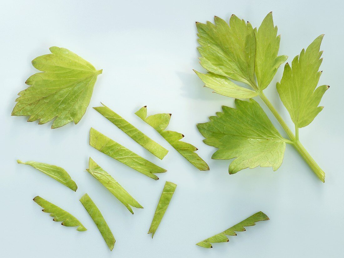 Lovage leaves, whole and shredded