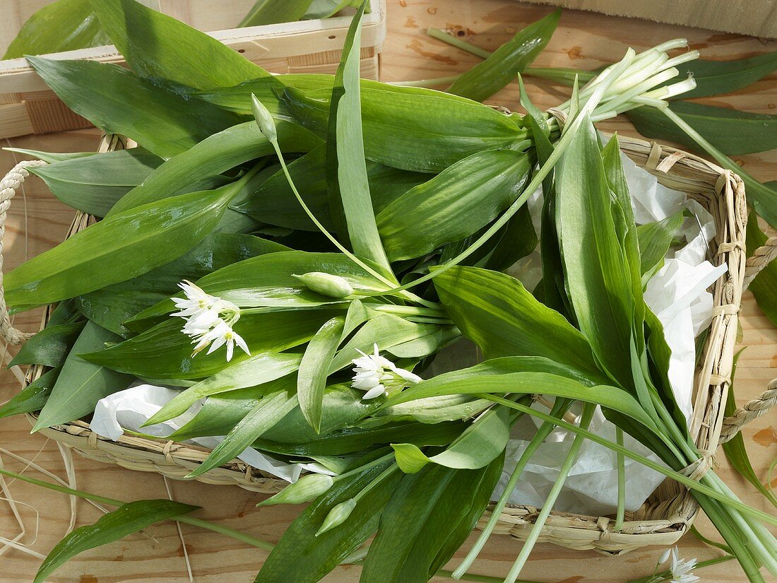 Ein Körbchen mit Bärlauch