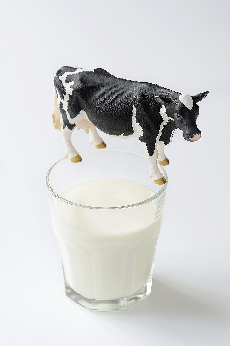 Glass of milk with toy cow