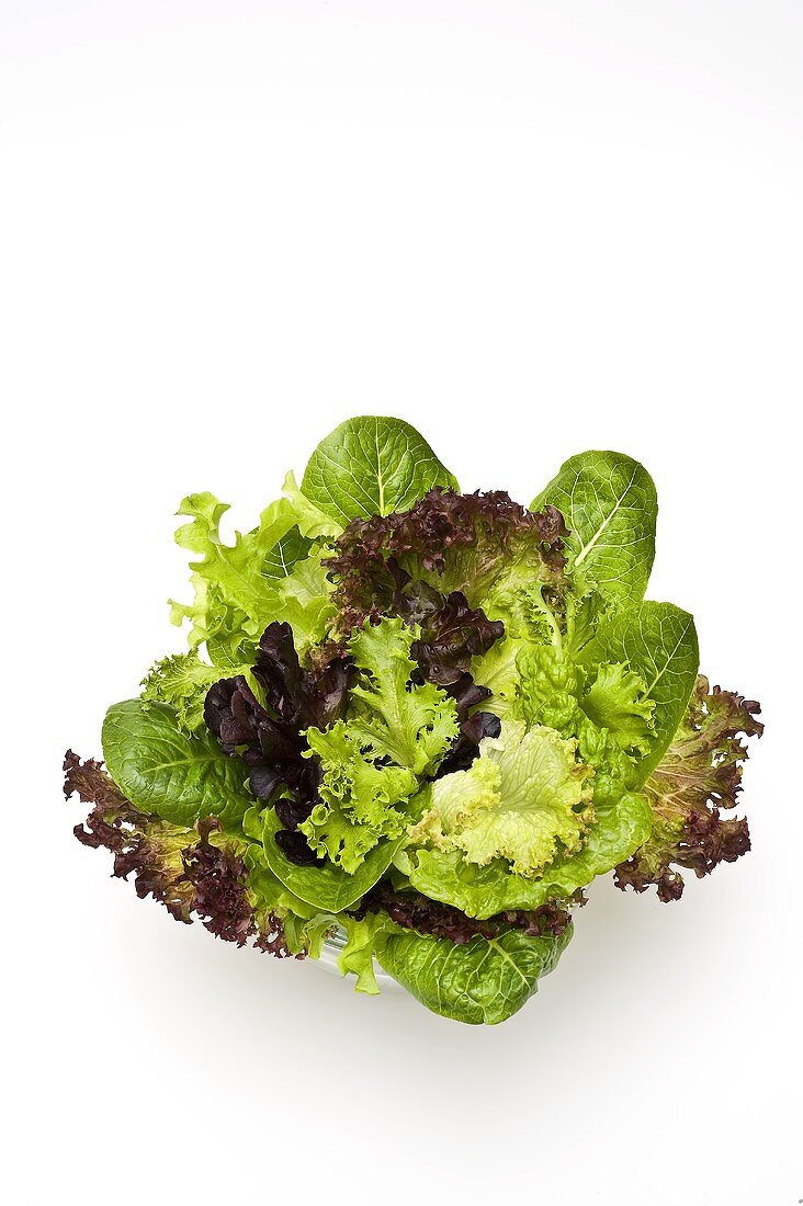 Mixed lettuce leaves in glass bowl